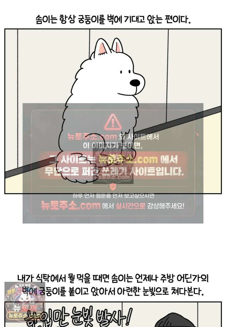 극한견주 시즌2 97화 발바닥 보습관리 2
