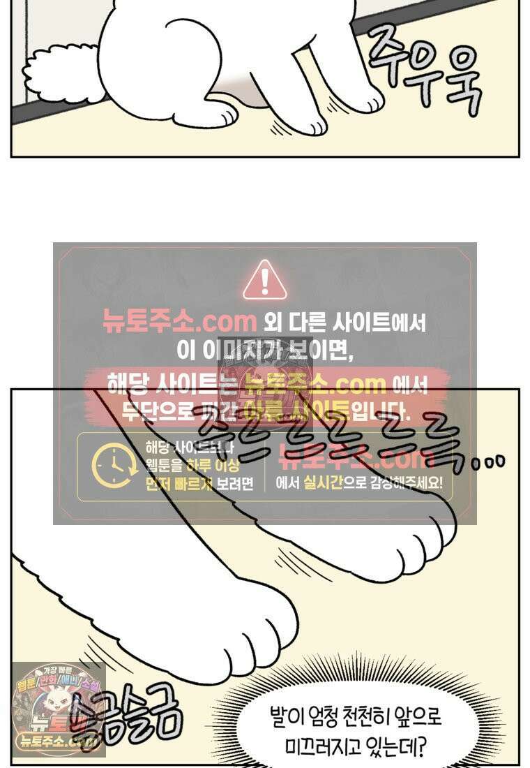 극한견주 시즌2 97화 발바닥 보습관리 4