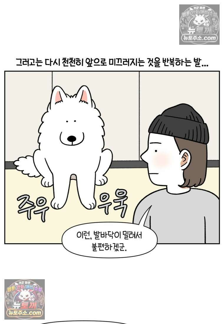 극한견주 시즌2 97화 발바닥 보습관리 6