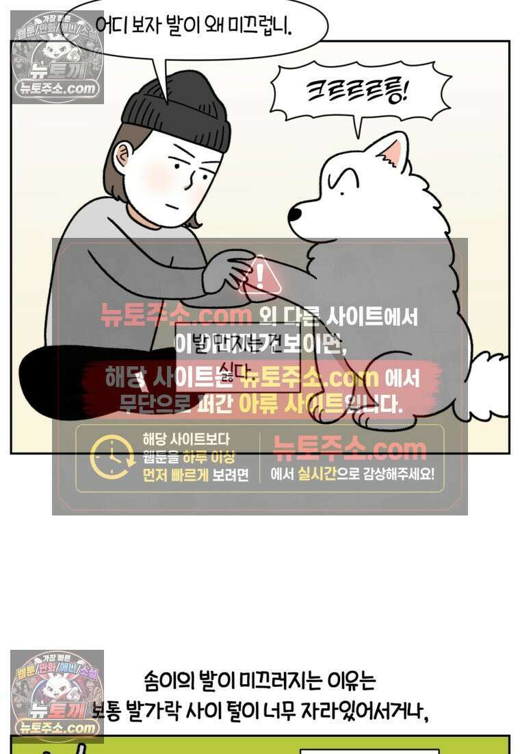 극한견주 시즌2 97화 발바닥 보습관리 7