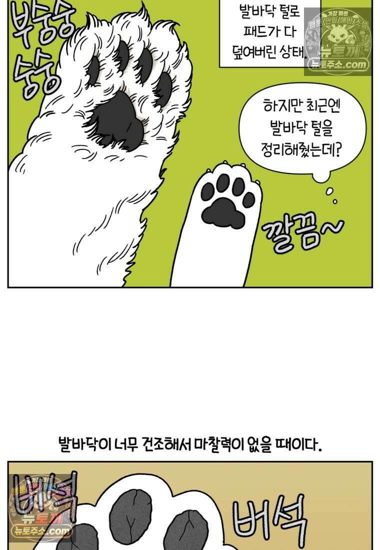 극한견주 시즌2 97화 발바닥 보습관리 8