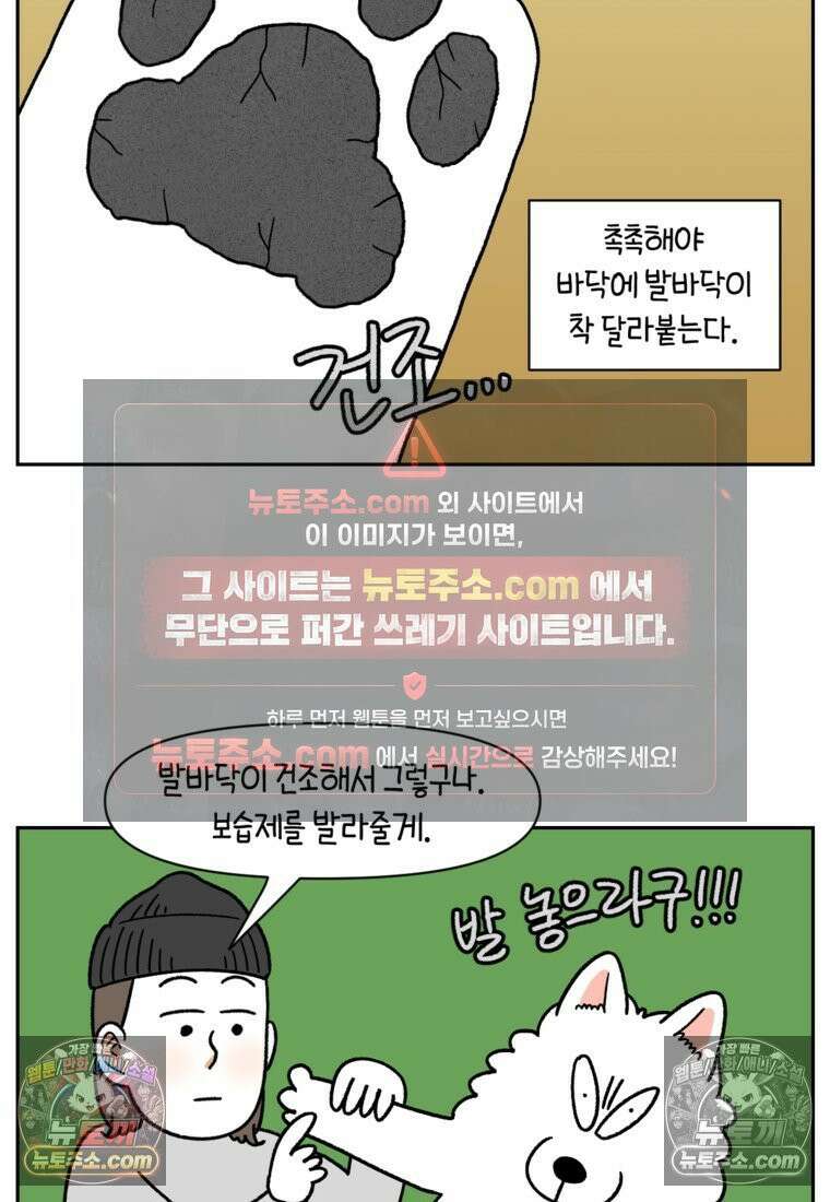 극한견주 시즌2 97화 발바닥 보습관리 9