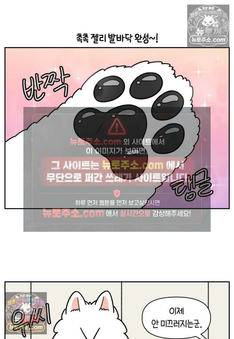 극한견주 시즌2 97화 발바닥 보습관리 12