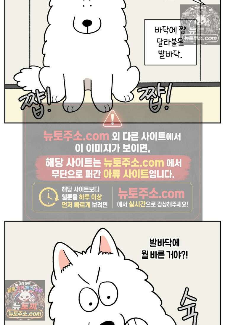 극한견주 시즌2 97화 발바닥 보습관리 13