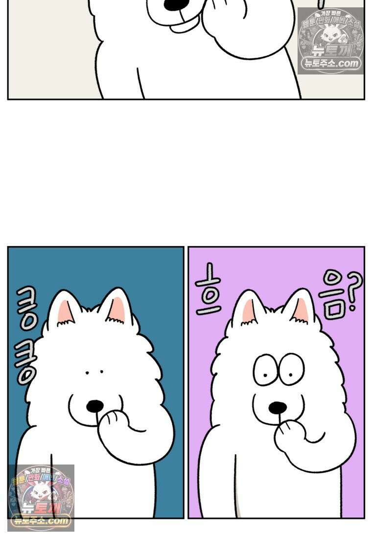 극한견주 시즌2 97화 발바닥 보습관리 14