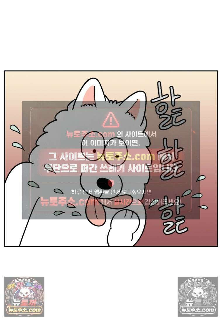 극한견주 시즌2 97화 발바닥 보습관리 15