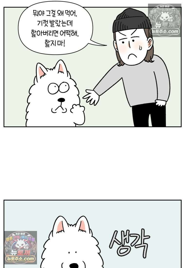 극한견주 시즌2 97화 발바닥 보습관리 16