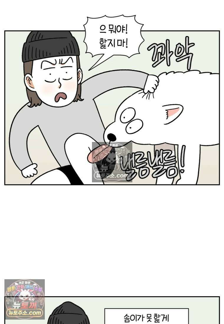 극한견주 시즌2 97화 발바닥 보습관리 19