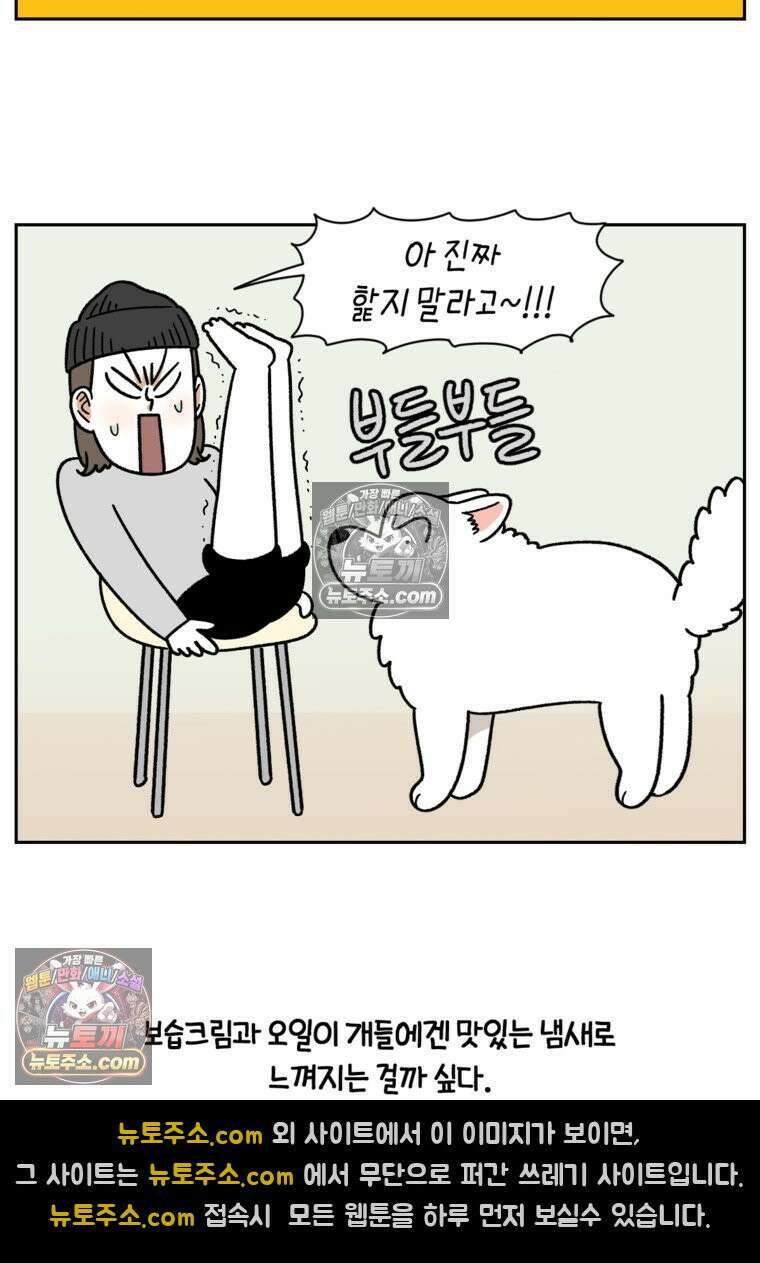 극한견주 시즌2 97화 발바닥 보습관리 22