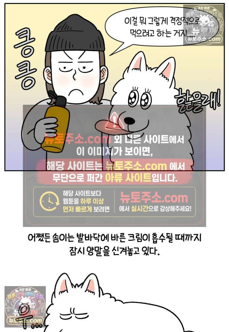 극한견주 시즌2 97화 발바닥 보습관리 23