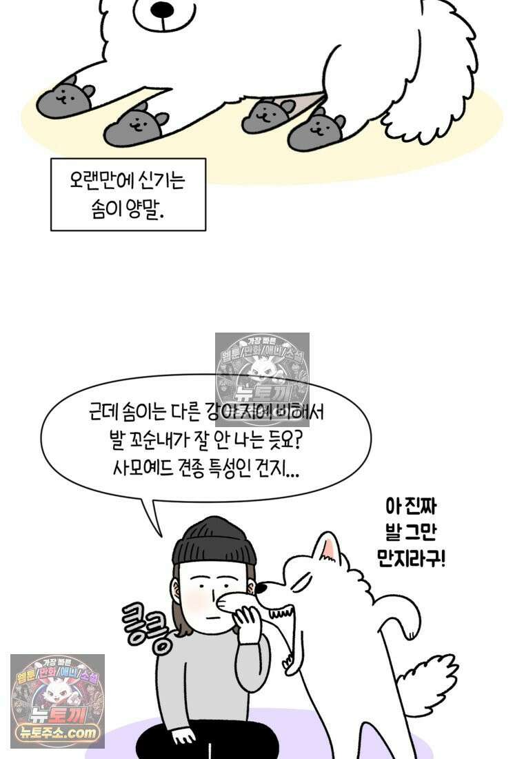 극한견주 시즌2 97화 발바닥 보습관리 24