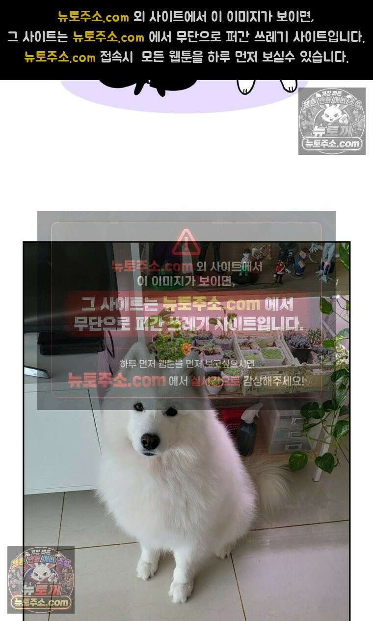 극한견주 시즌2 97화 발바닥 보습관리 25