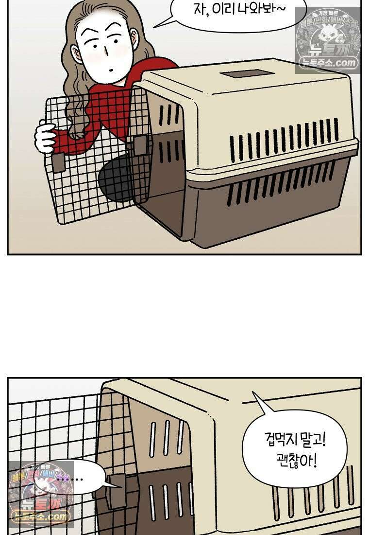 극한견주 시즌2 101화 유기견 임시보호 3