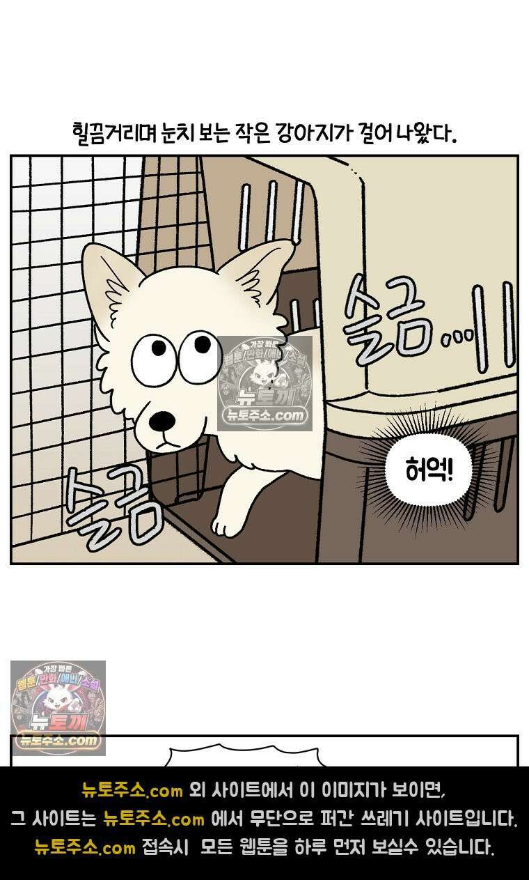 극한견주 시즌2 101화 유기견 임시보호 5