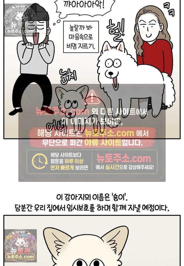 극한견주 시즌2 101화 유기견 임시보호 6