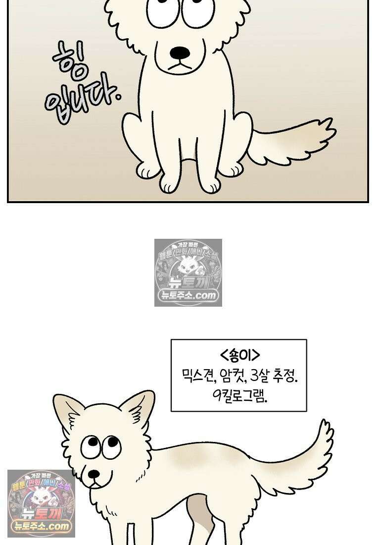 극한견주 시즌2 101화 유기견 임시보호 7