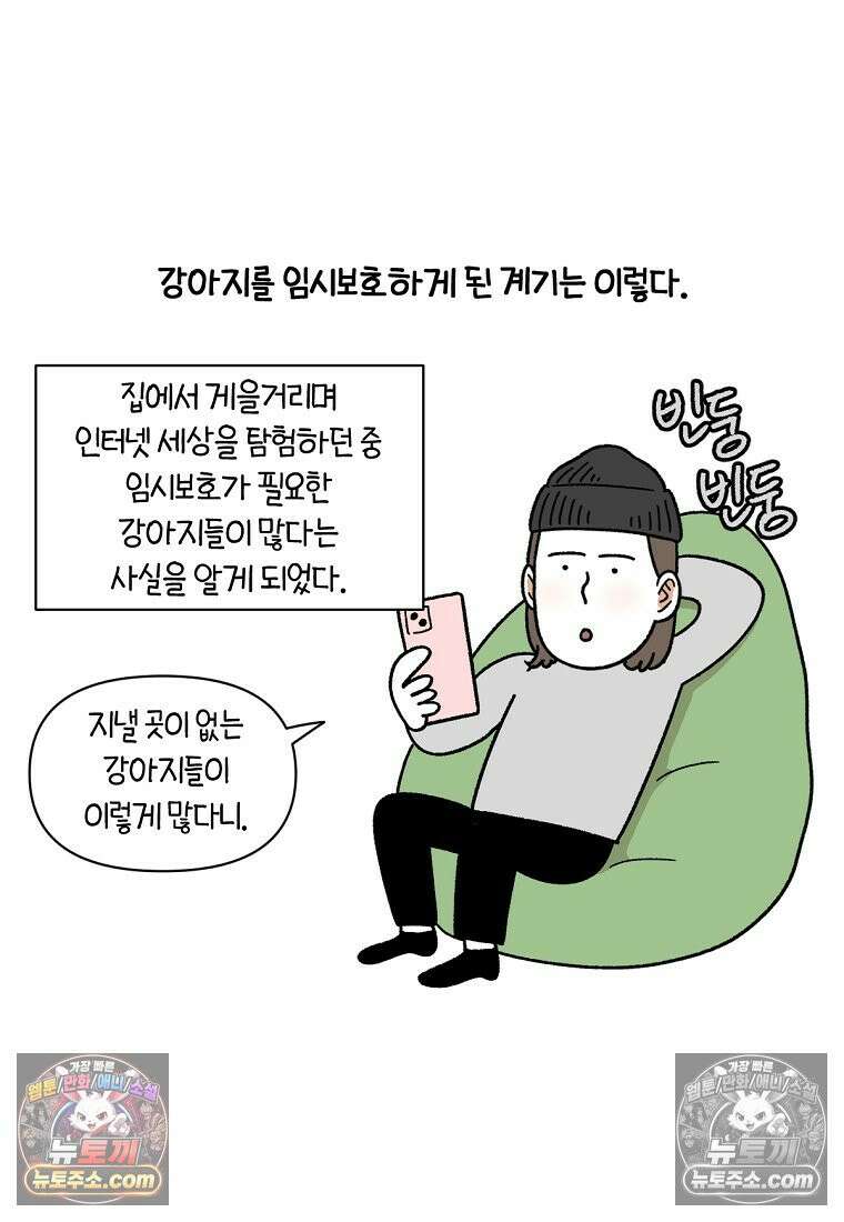 극한견주 시즌2 101화 유기견 임시보호 9