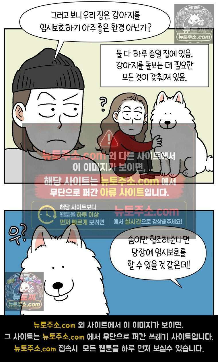 극한견주 시즌2 101화 유기견 임시보호 10