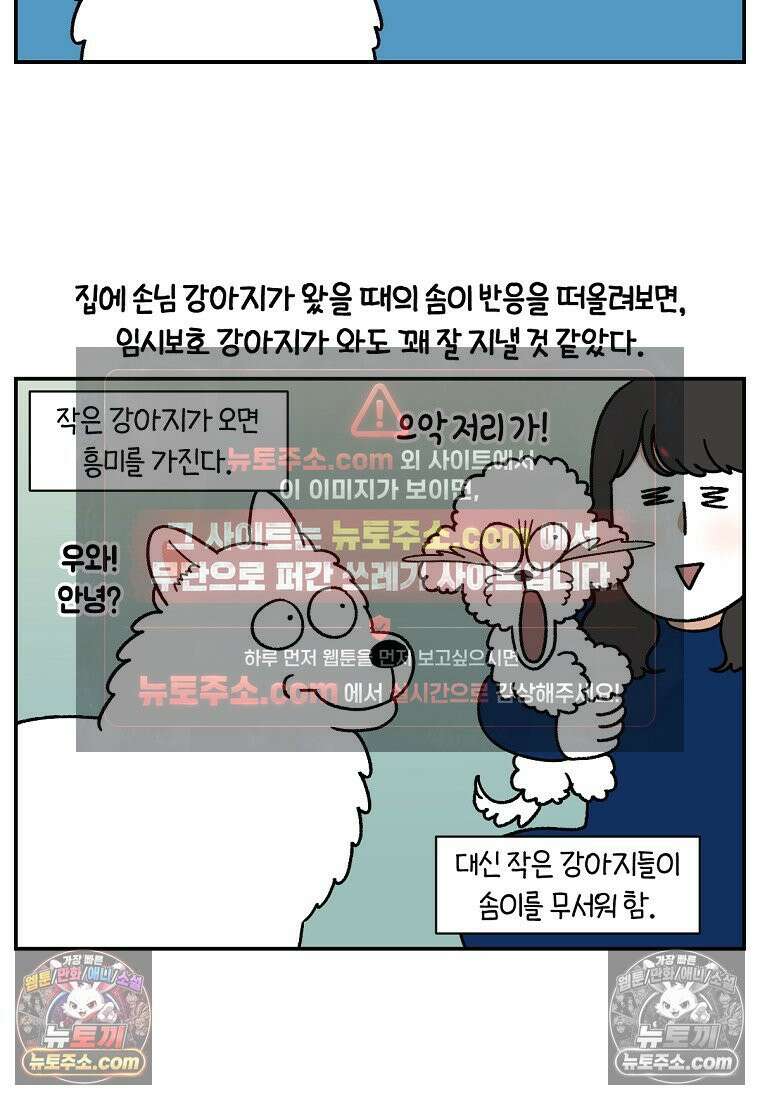 극한견주 시즌2 101화 유기견 임시보호 11