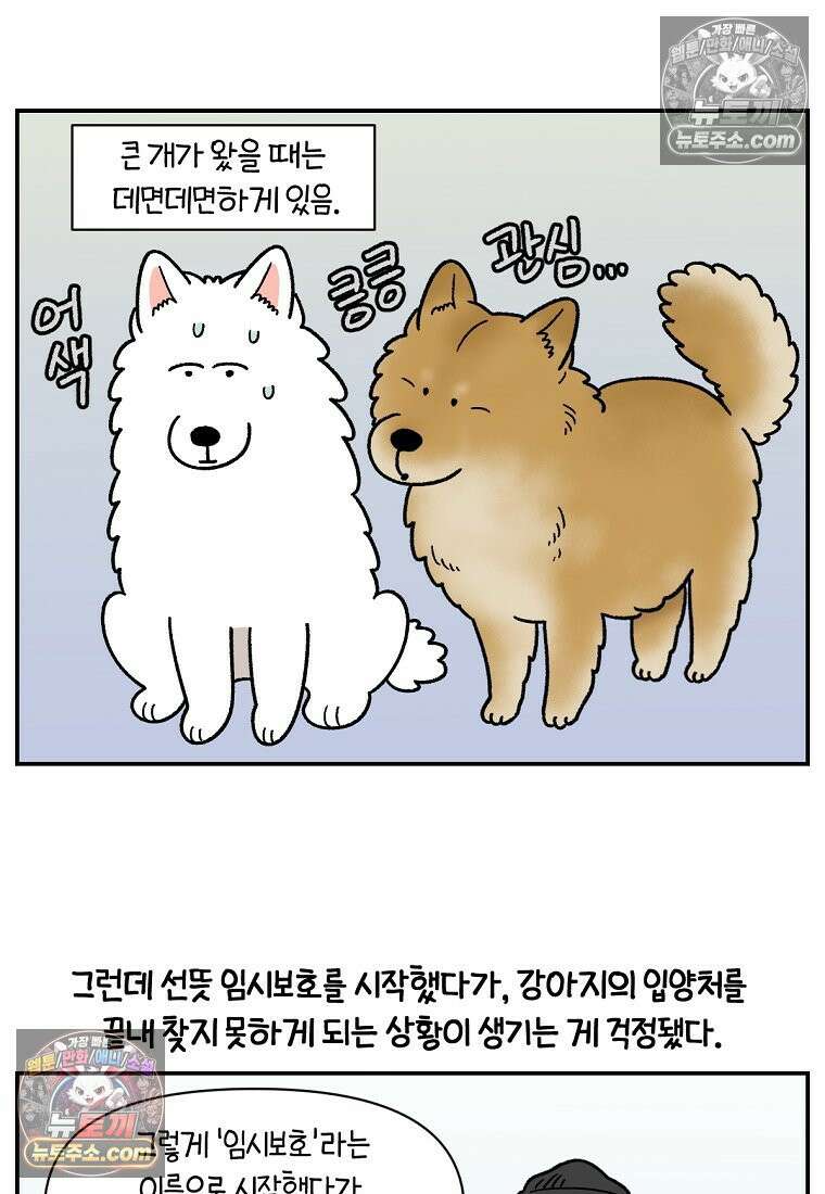 극한견주 시즌2 101화 유기견 임시보호 12