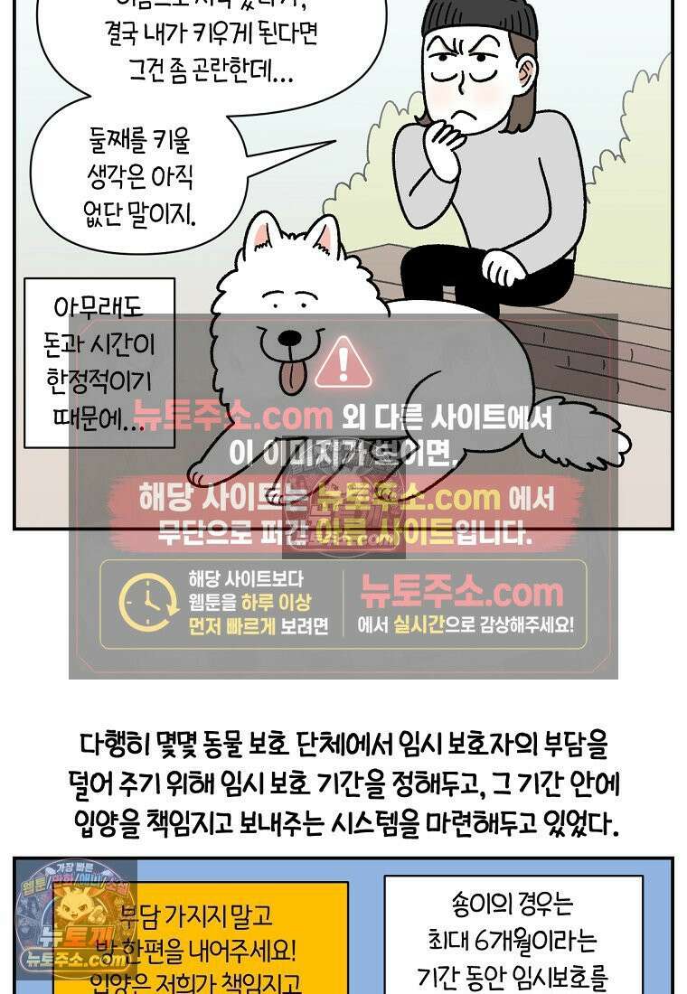 극한견주 시즌2 101화 유기견 임시보호 13