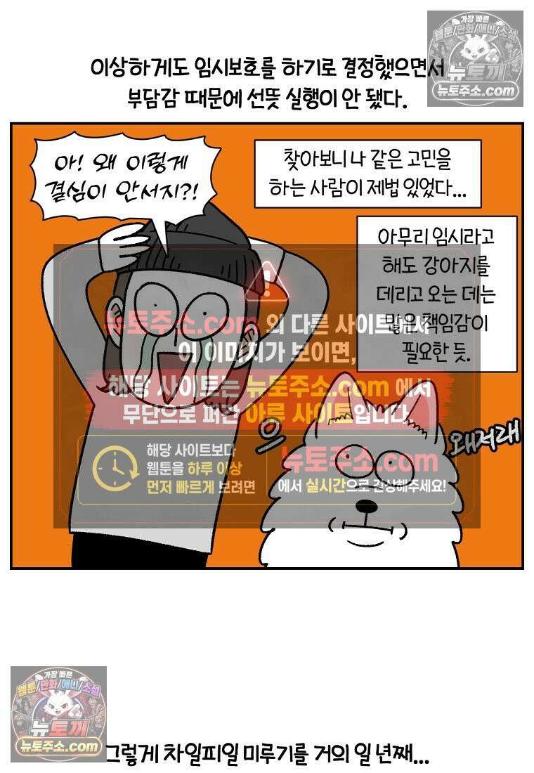 극한견주 시즌2 101화 유기견 임시보호 17
