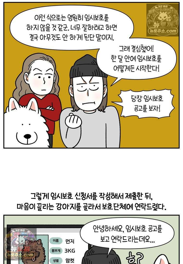 극한견주 시즌2 101화 유기견 임시보호 18