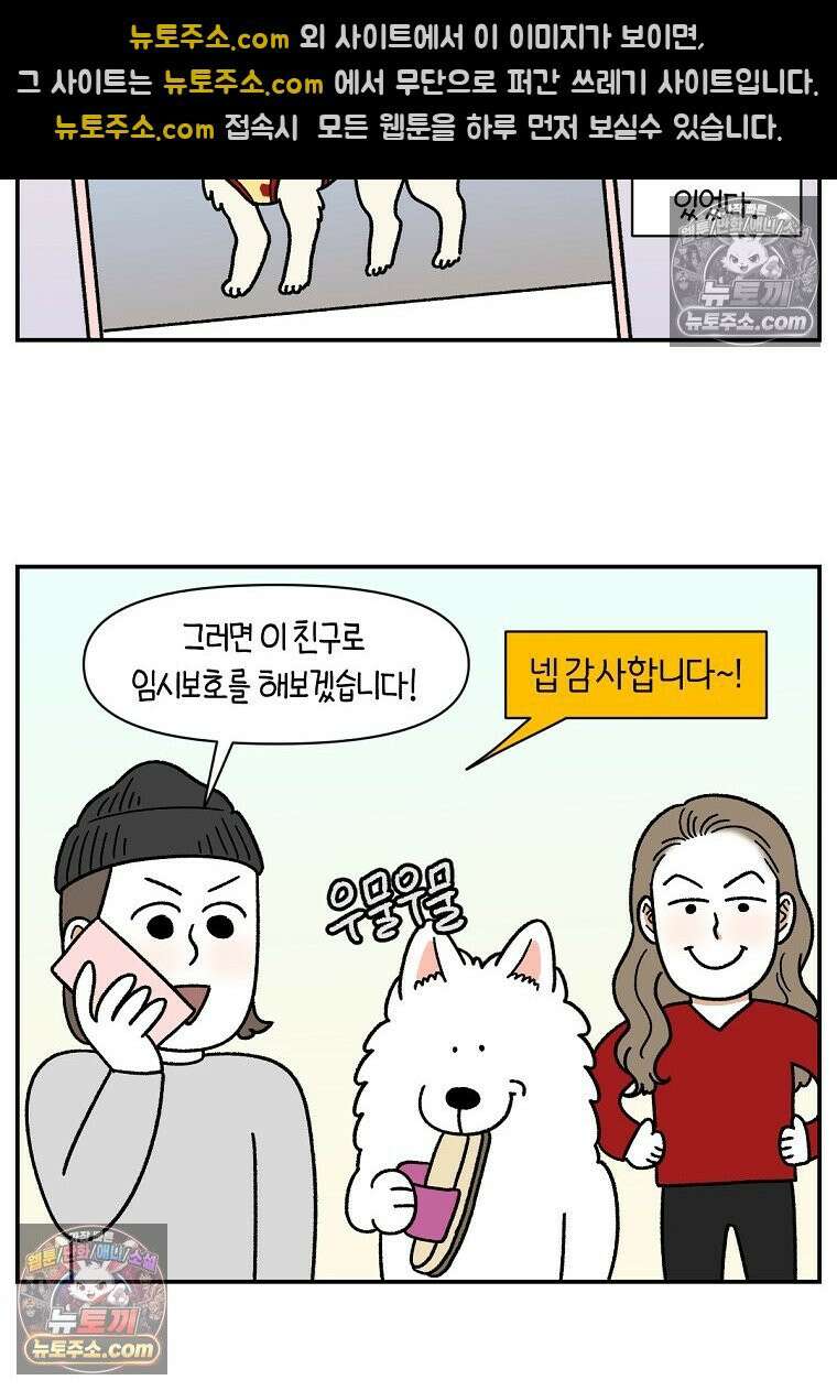 극한견주 시즌2 101화 유기견 임시보호 21