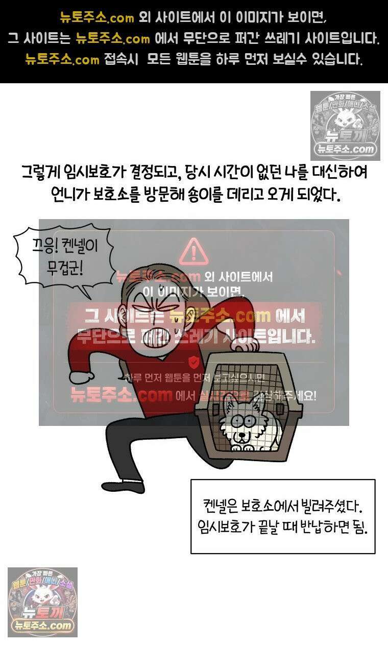 극한견주 시즌2 101화 유기견 임시보호 22