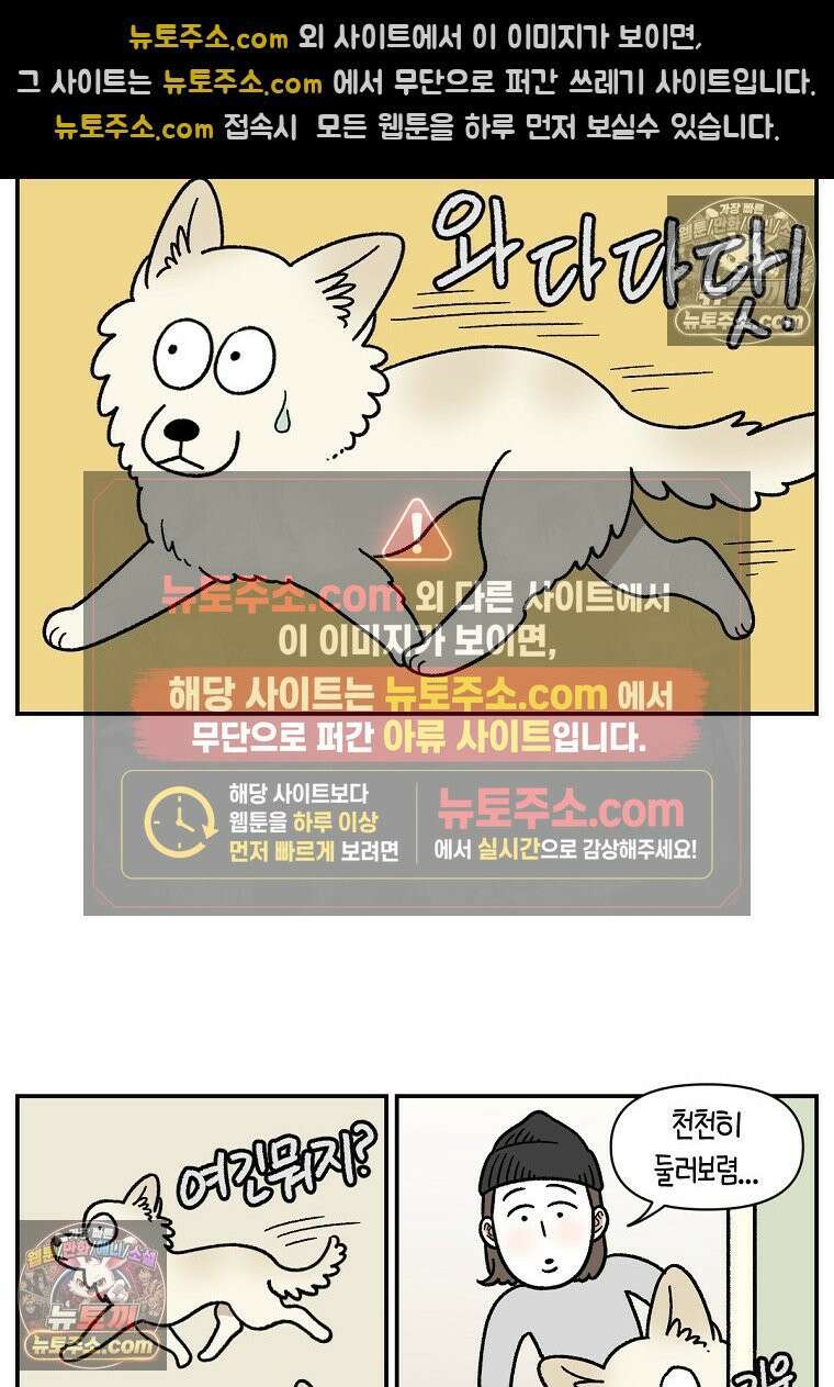 극한견주 시즌2 101화 유기견 임시보호 24