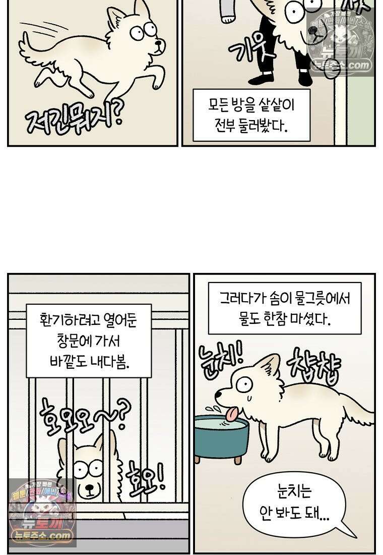 극한견주 시즌2 101화 유기견 임시보호 25