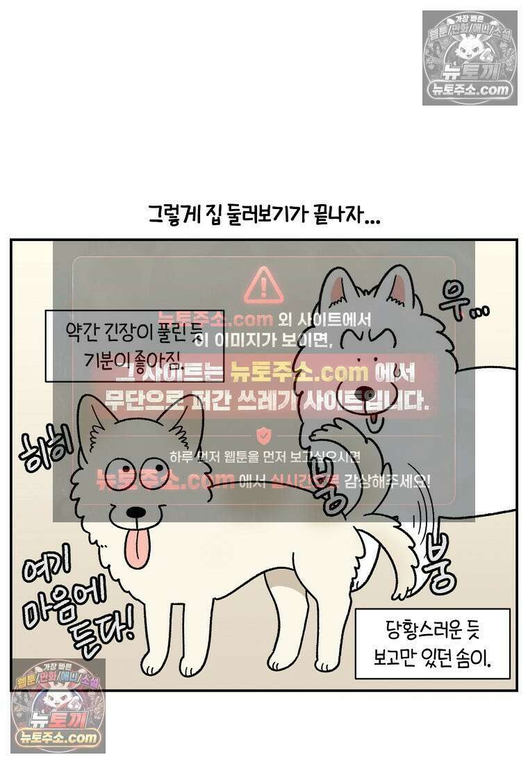 극한견주 시즌2 101화 유기견 임시보호 26