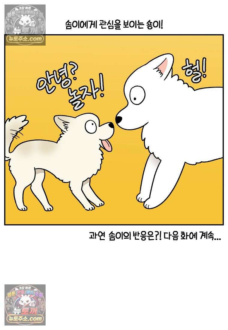 극한견주 시즌2 101화 유기견 임시보호 27