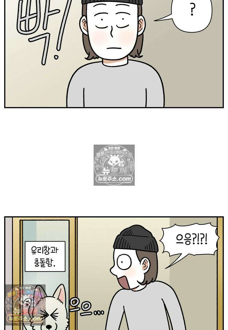 극한견주 시즌2 111화 유리자동문 3