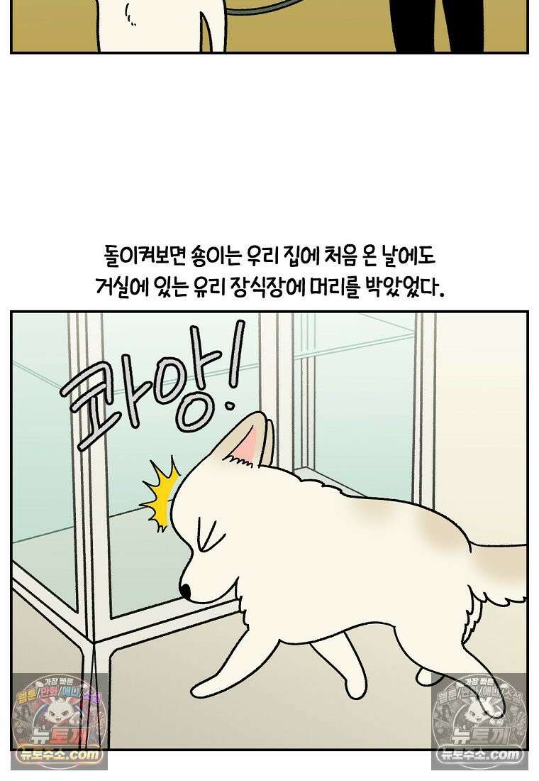 극한견주 시즌2 111화 유리자동문 5