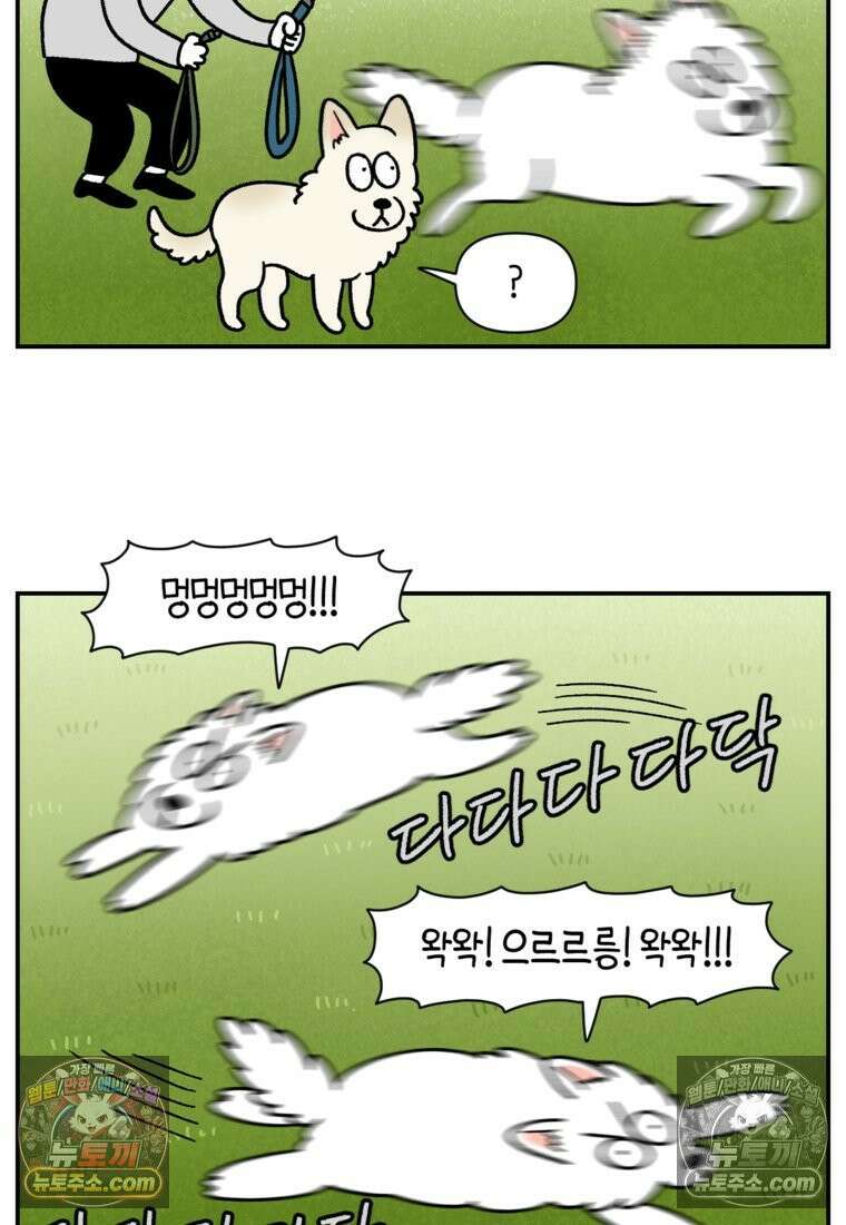 극한견주 시즌2 121화 엄마 집에 놀러 가기 3