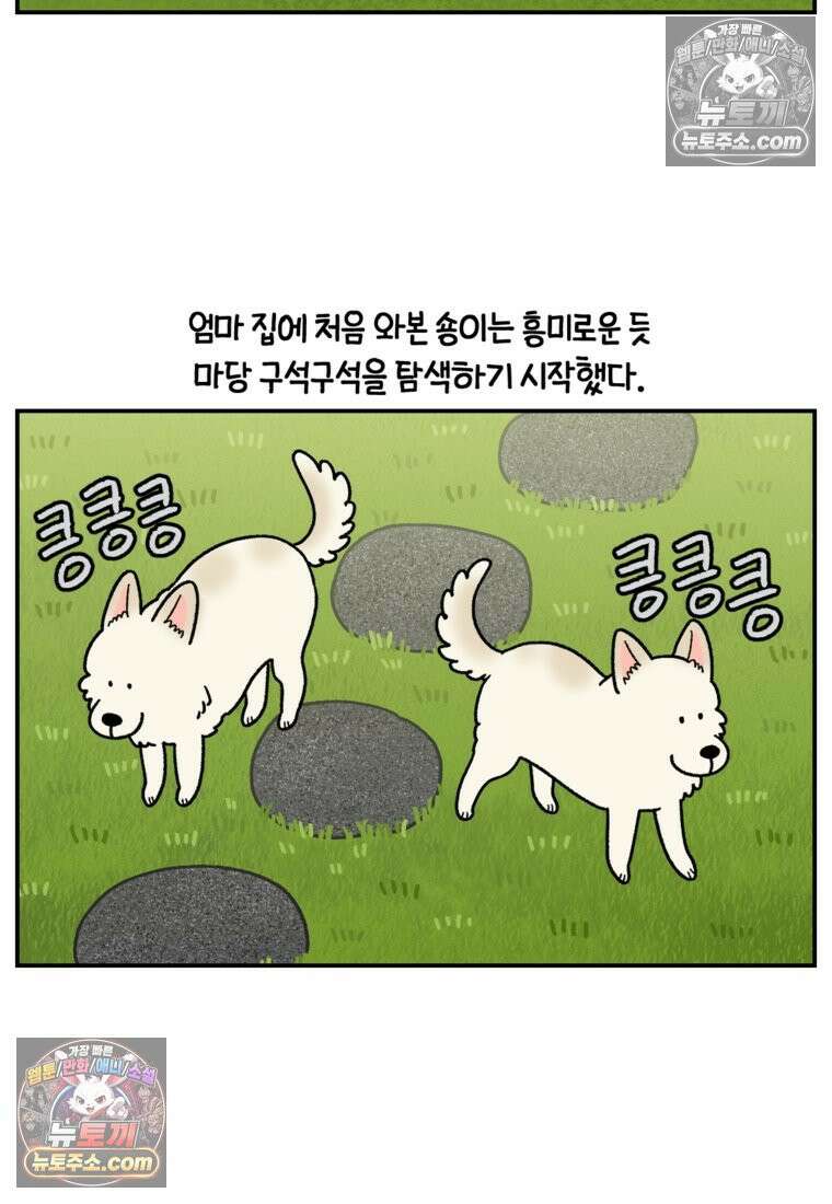 극한견주 시즌2 121화 엄마 집에 놀러 가기 5