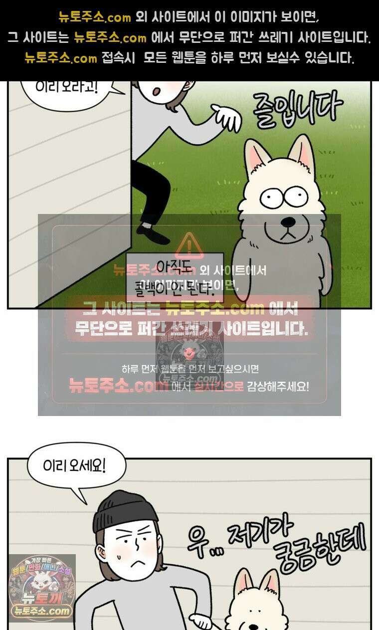 극한견주 시즌2 121화 엄마 집에 놀러 가기 7