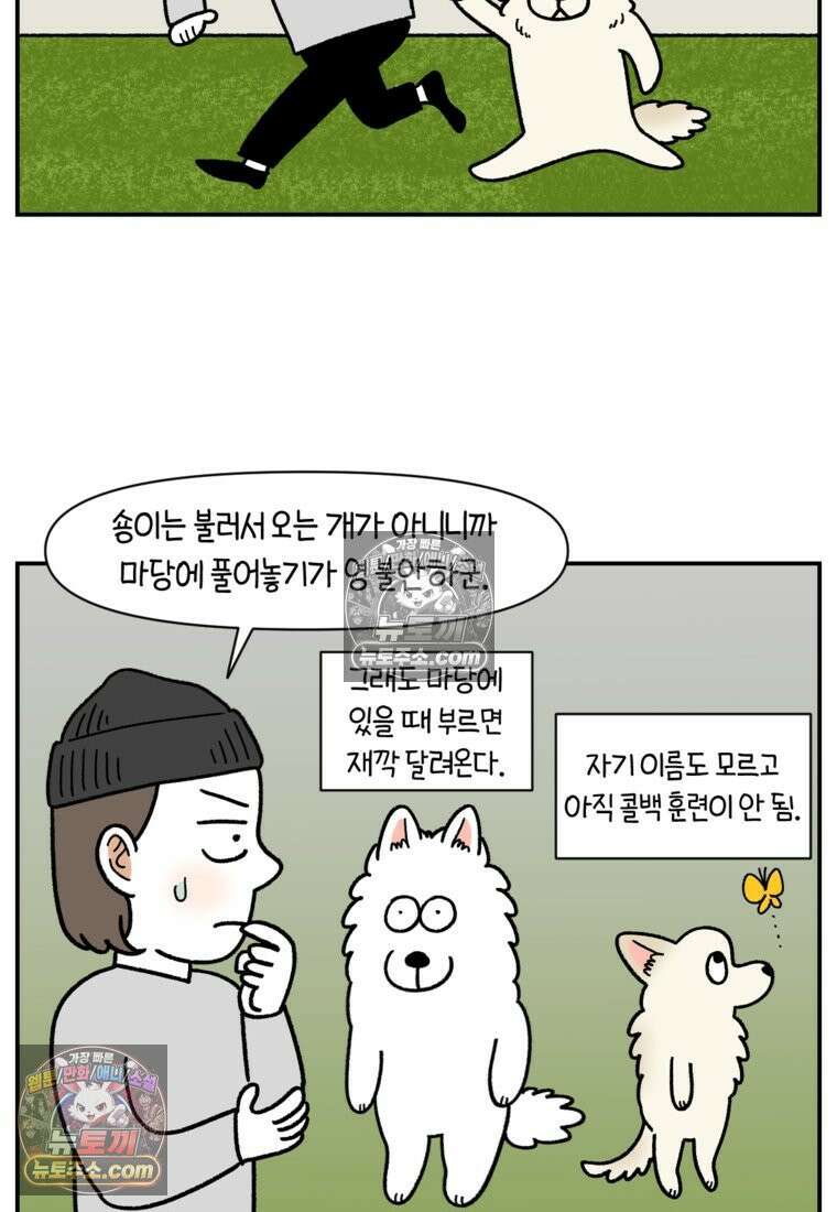 극한견주 시즌2 121화 엄마 집에 놀러 가기 8