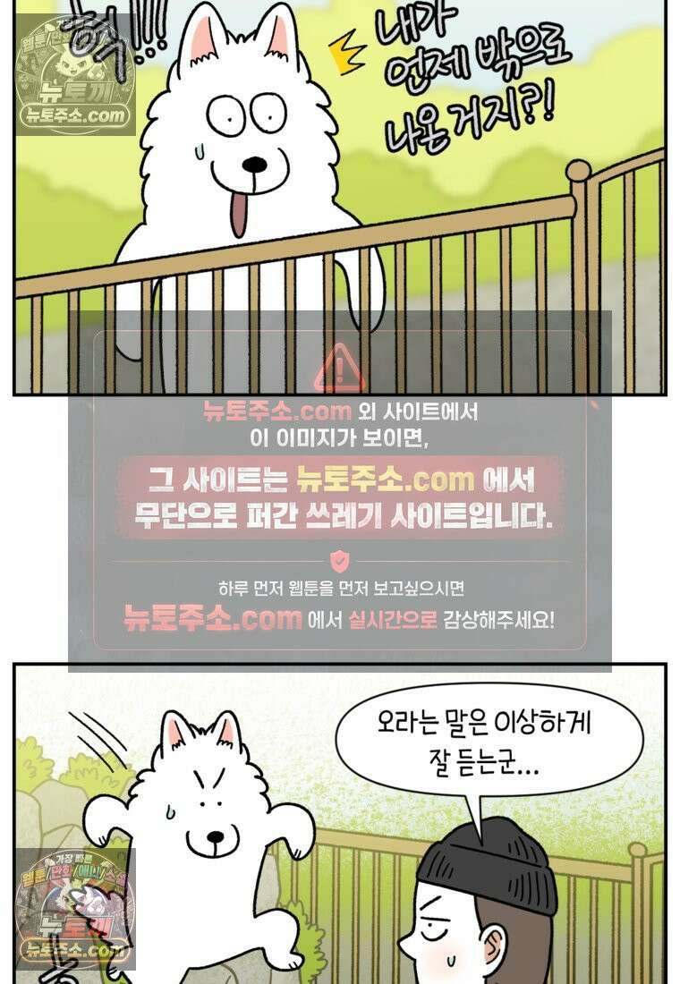 극한견주 시즌2 121화 엄마 집에 놀러 가기 11