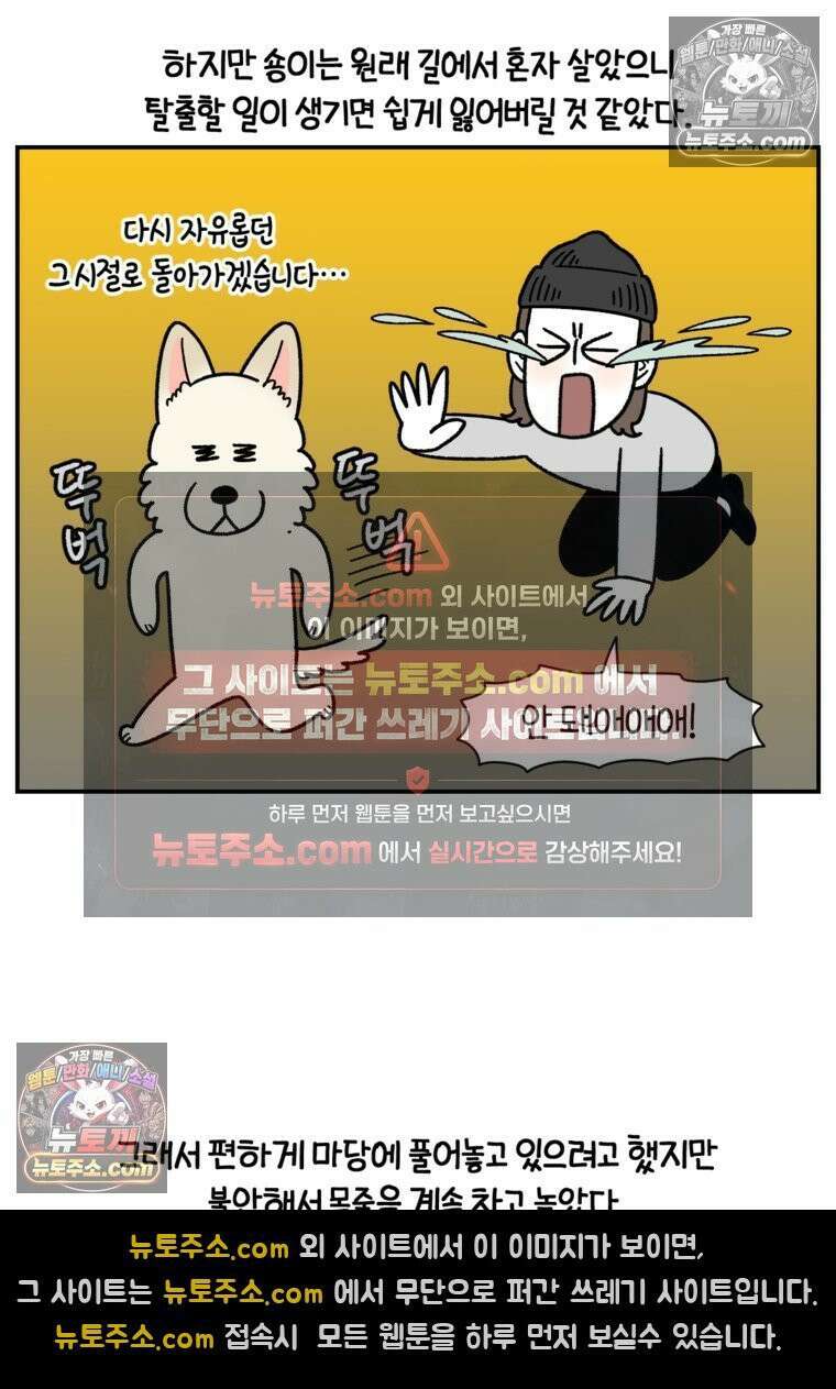 극한견주 시즌2 121화 엄마 집에 놀러 가기 14