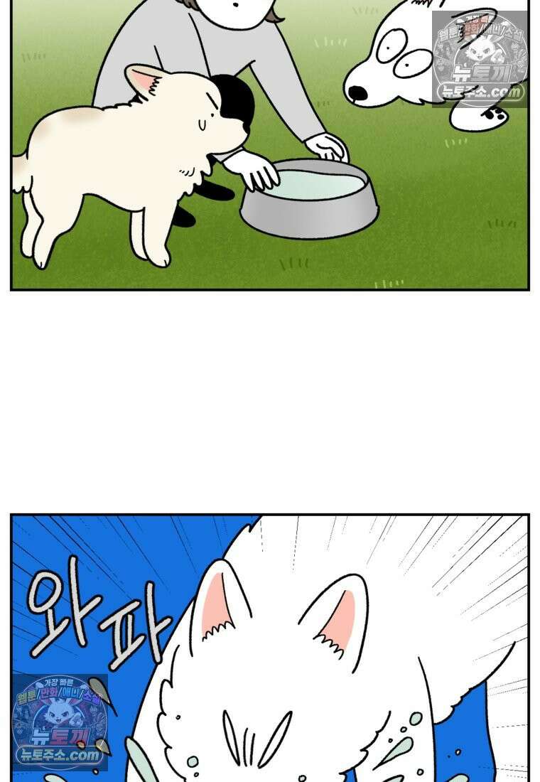 극한견주 시즌2 121화 엄마 집에 놀러 가기 17