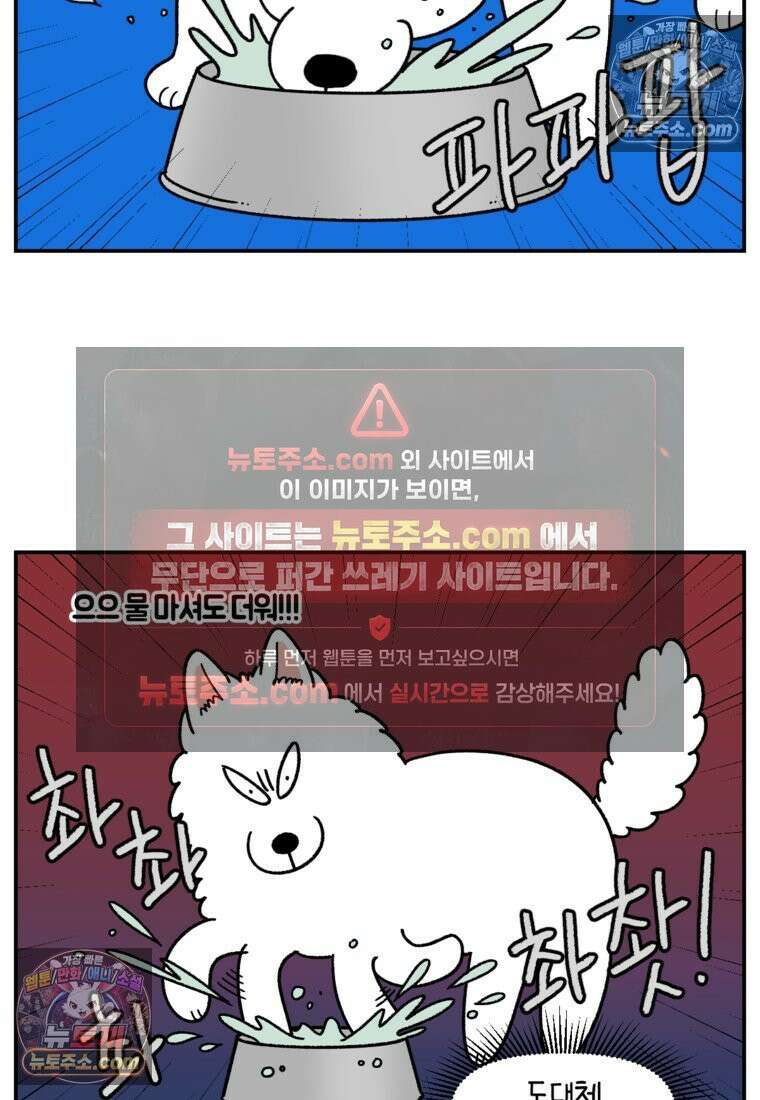 극한견주 시즌2 121화 엄마 집에 놀러 가기 18