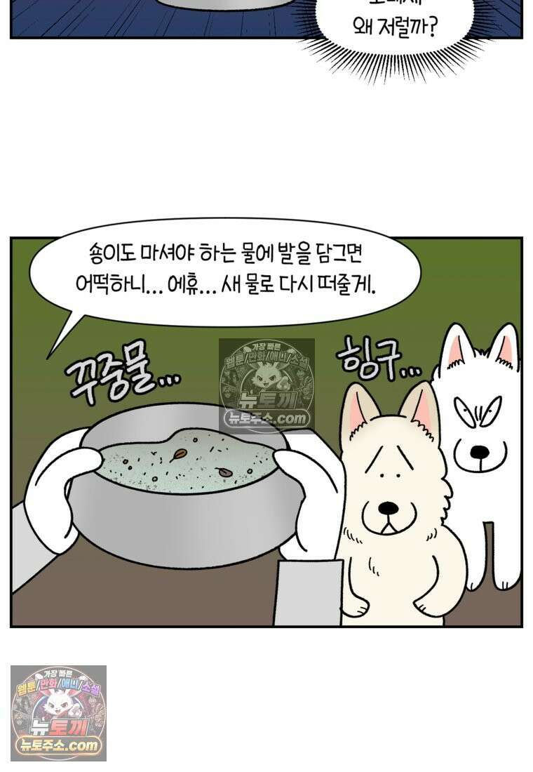 극한견주 시즌2 121화 엄마 집에 놀러 가기 19