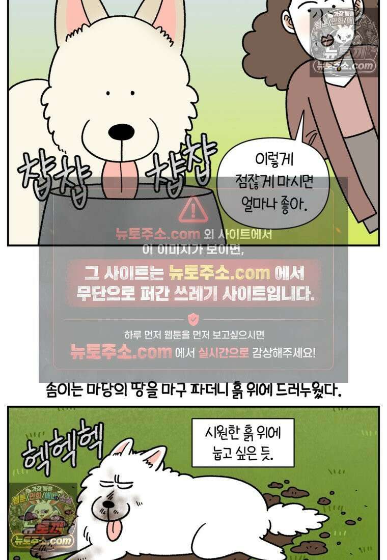 극한견주 시즌2 121화 엄마 집에 놀러 가기 21