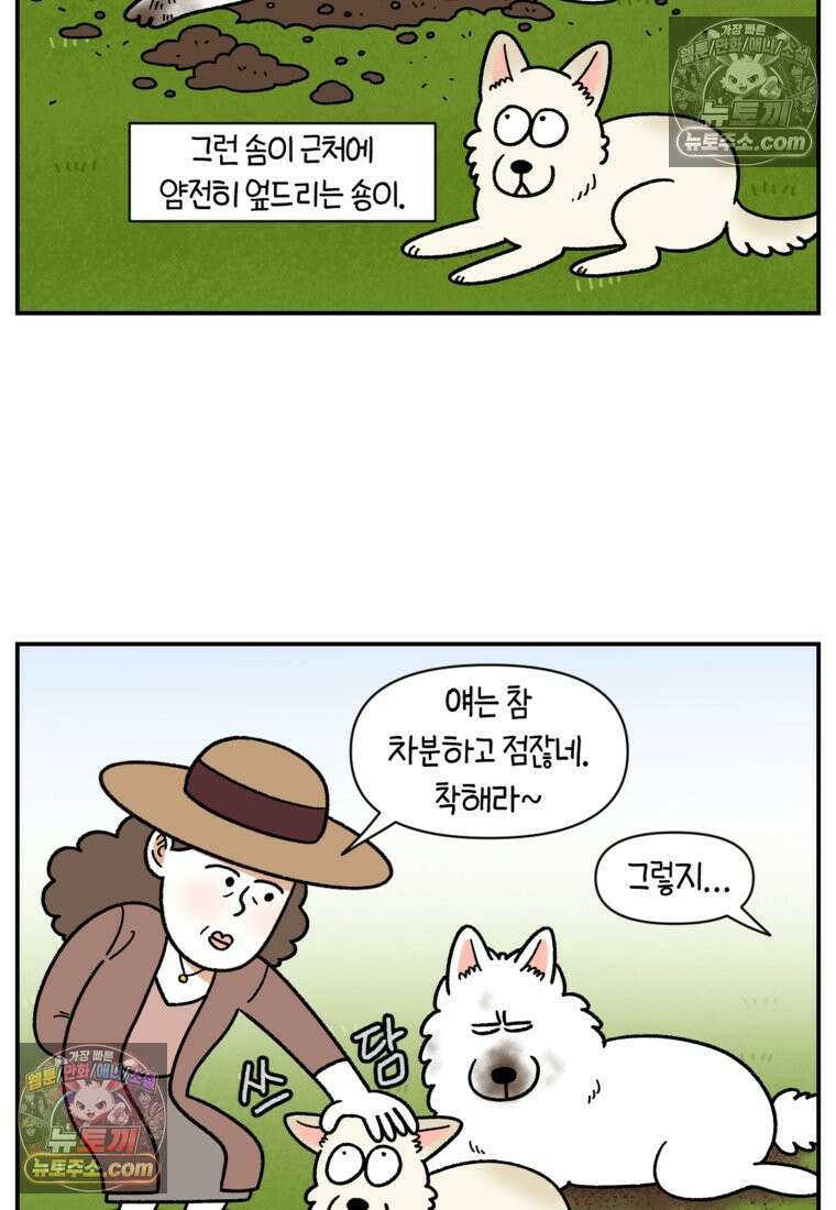 극한견주 시즌2 121화 엄마 집에 놀러 가기 22