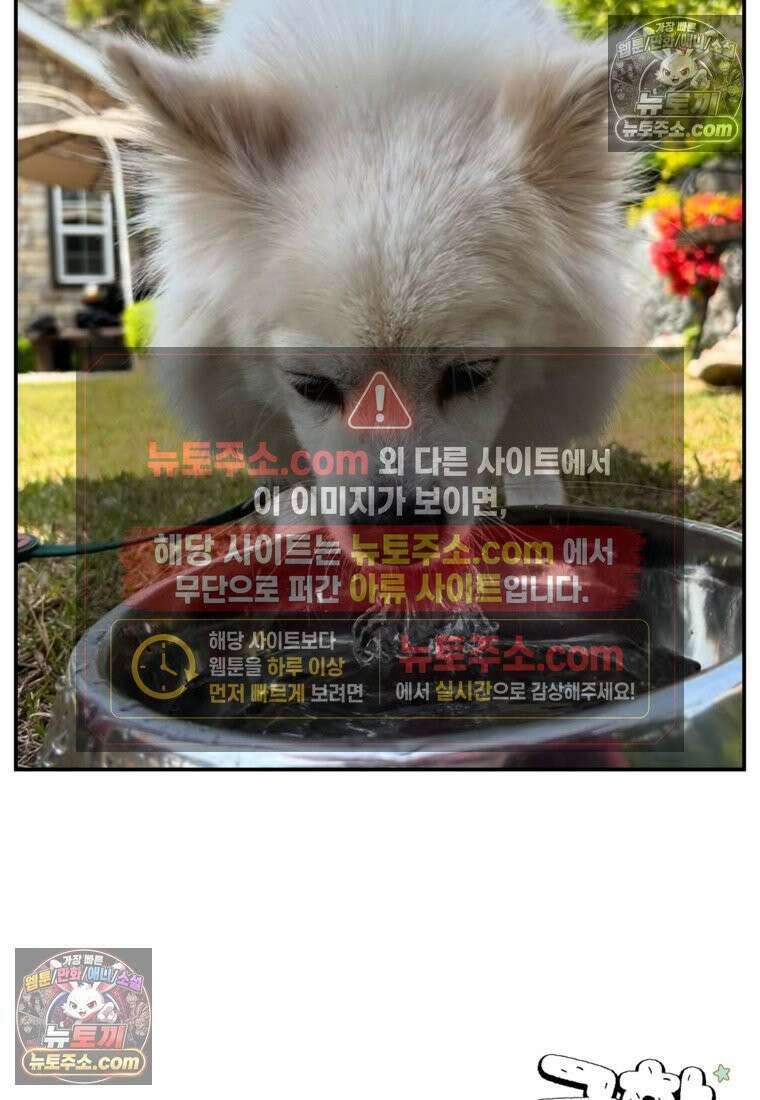극한견주 시즌2 121화 엄마 집에 놀러 가기 27