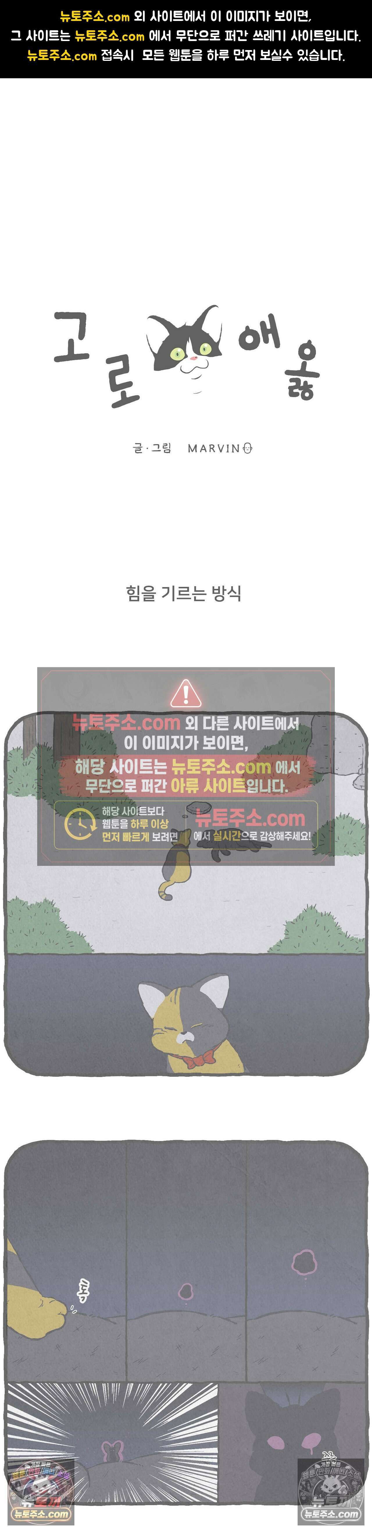 고로애옳 18화 1