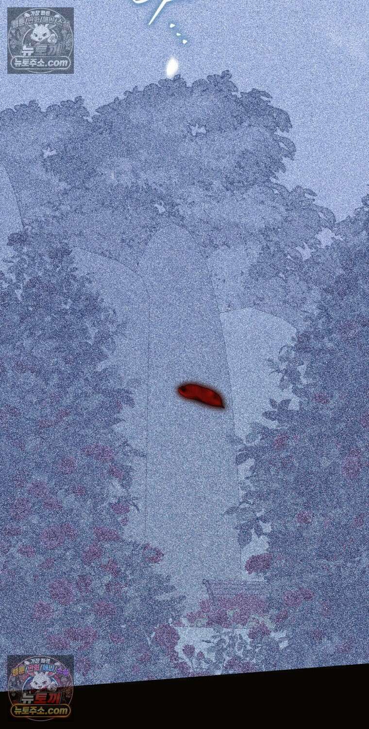 남주들의 표적이 되어 버렸다 49화 2