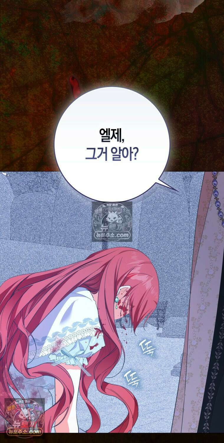 남주들의 표적이 되어 버렸다 49화 5